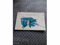 Old postcard OK for BSD