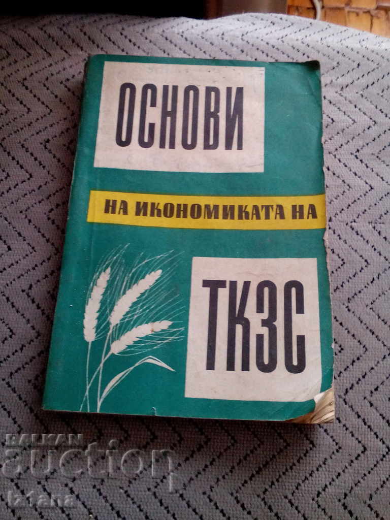 Book: Fundamentals of the Economics of TKZS Book: Fundamentals of the Economics of TKZS