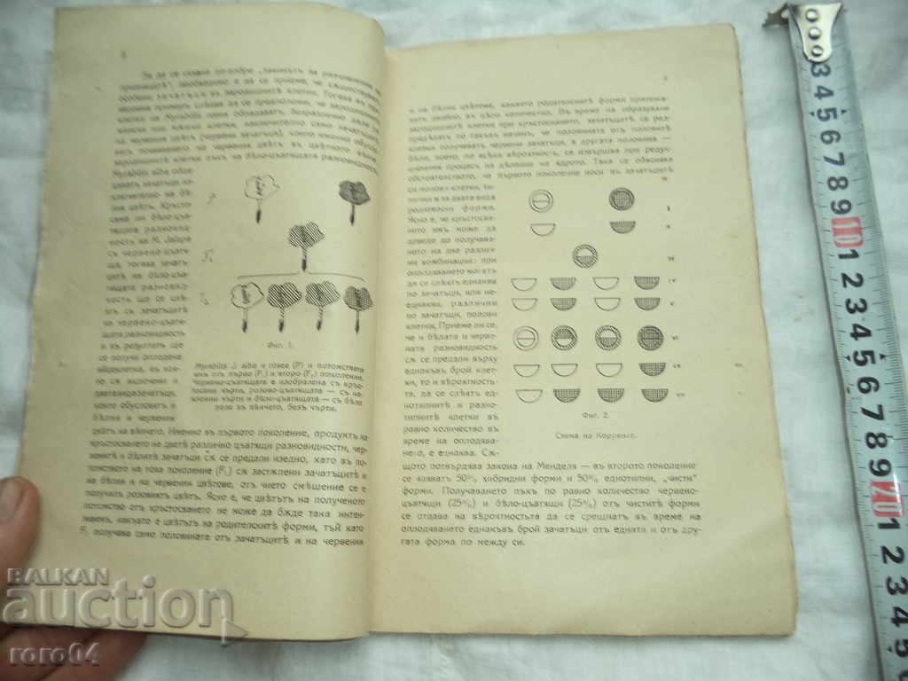 Delivery of BRIEF GUIDE TO AGRICULTURAL RICE Delivery of BRIEF GUIDE TO AGRICULTURAL RICE