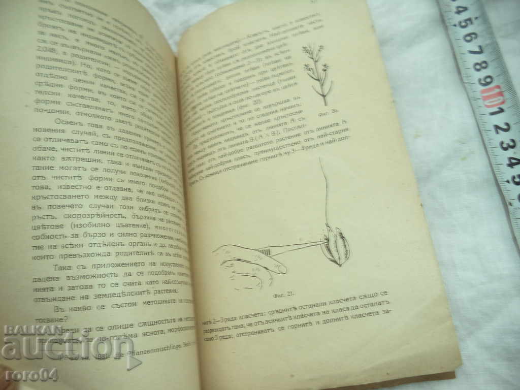 BRIEF GUIDE TO AGRICULTURAL RICE - 5 BRIEF GUIDE TO AGRICULTURAL RICE - 5