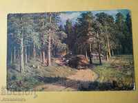 Παλιά έγχρωμη κάρτα 1916. Village of Murtvitsa Pleven