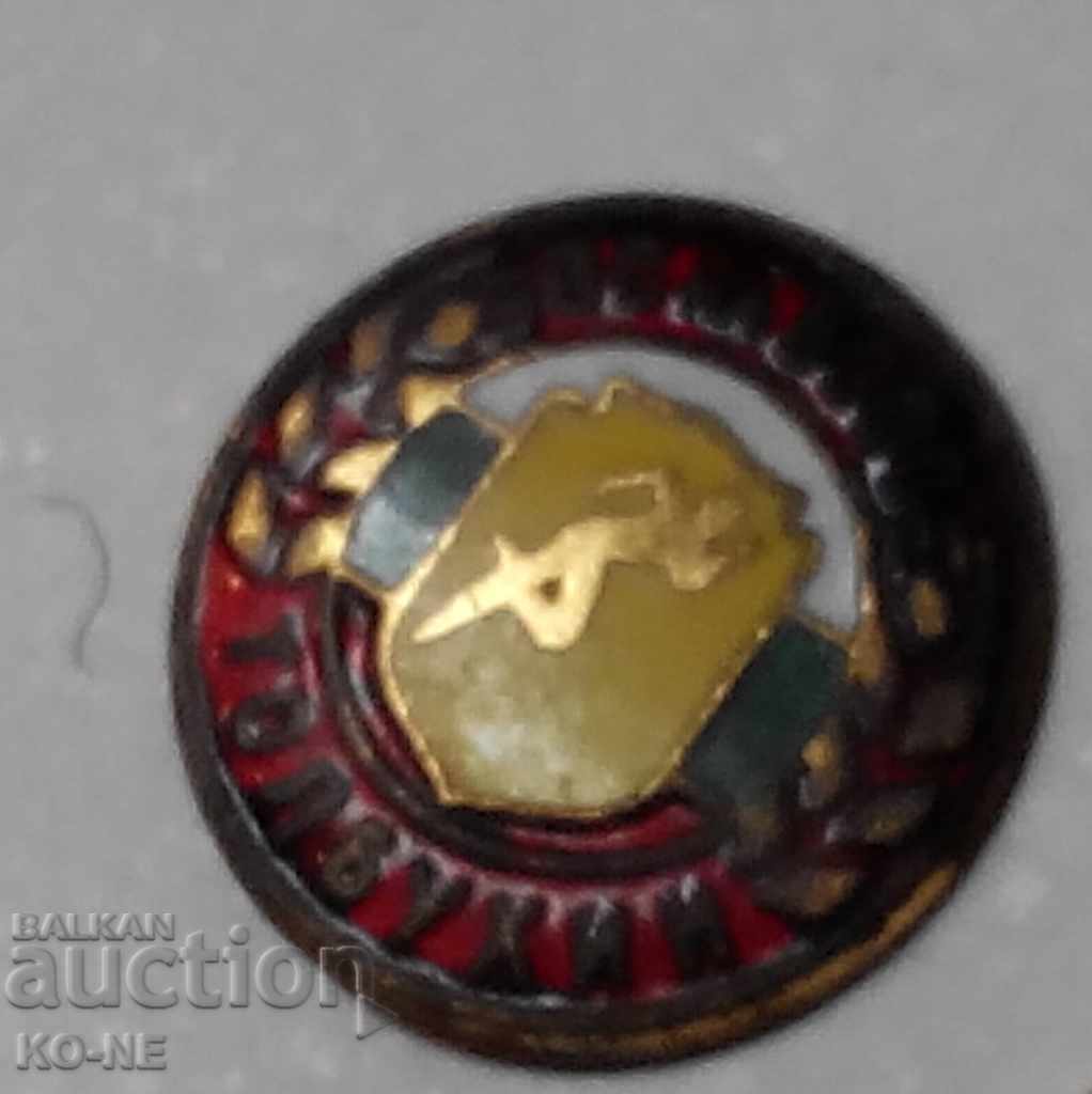 Sports badges - 5 Sports badges - 5