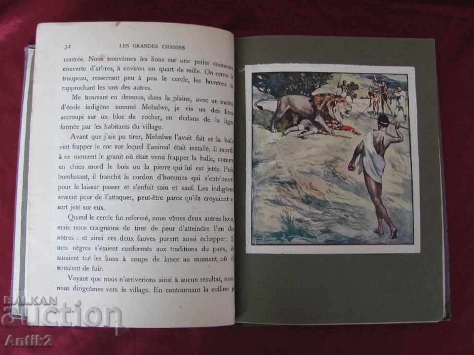 Old Children's Books 2 pcs. Don Quixote and Les Chasses Nelson - 7
