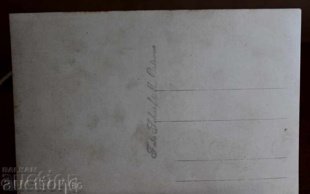 Auction 30-THY BULGARIAN GRADINERS Auction 30-THY BULGARIAN GRADINERS