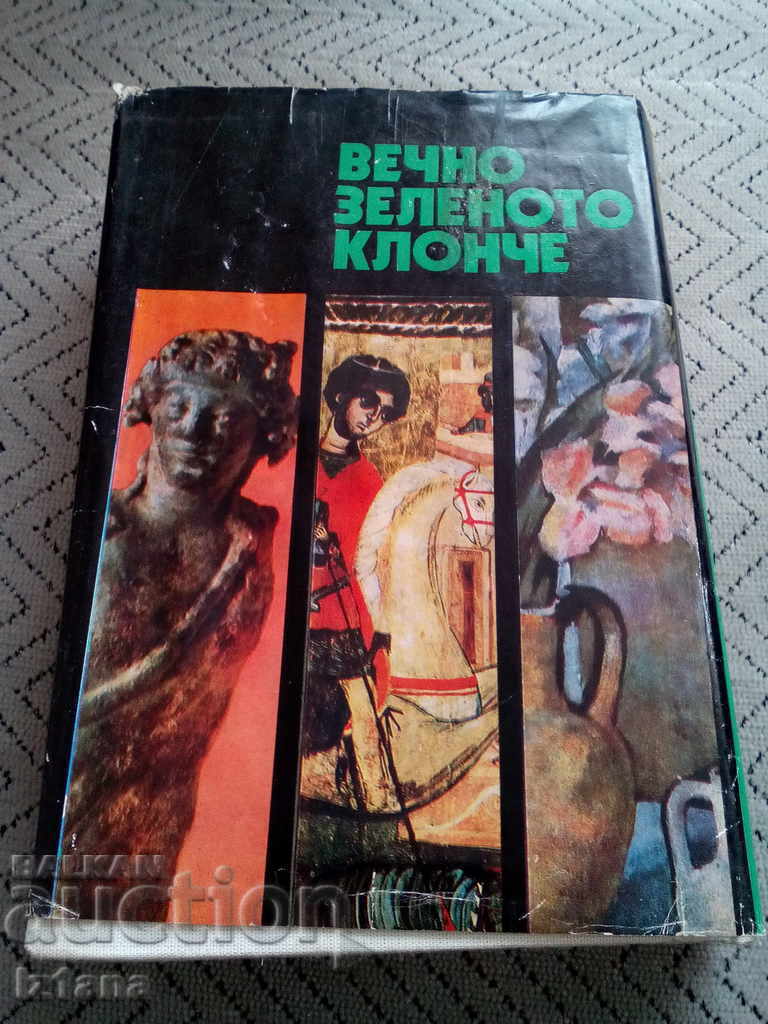 Book Evergreen Green Branch - 5 Book Evergreen Green Branch - 5