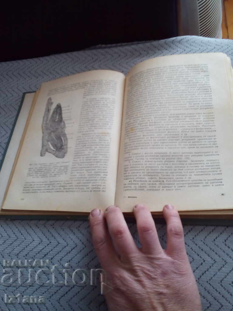 Книга Ботаника - 5 Книга Ботаника - 5