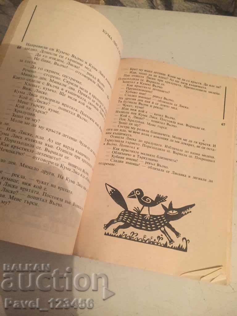 Auction babies pet Auction babies pet