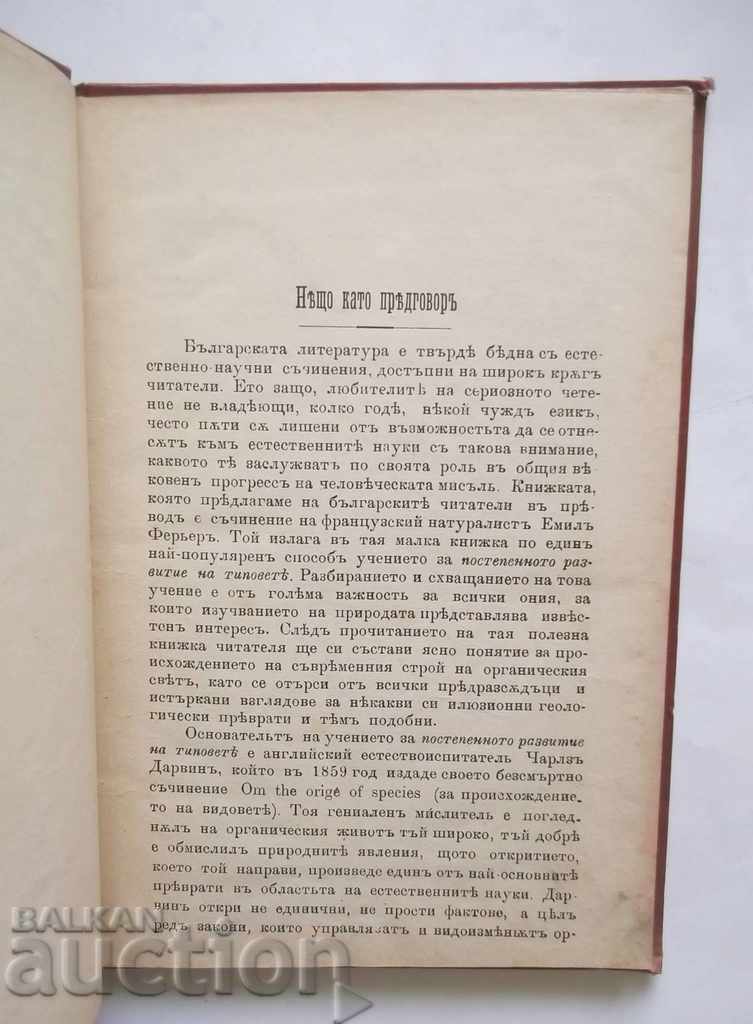 Auction Darwinism - Emil Ferrer 1894 Auction Darwinism - Emil Ferrer 1894