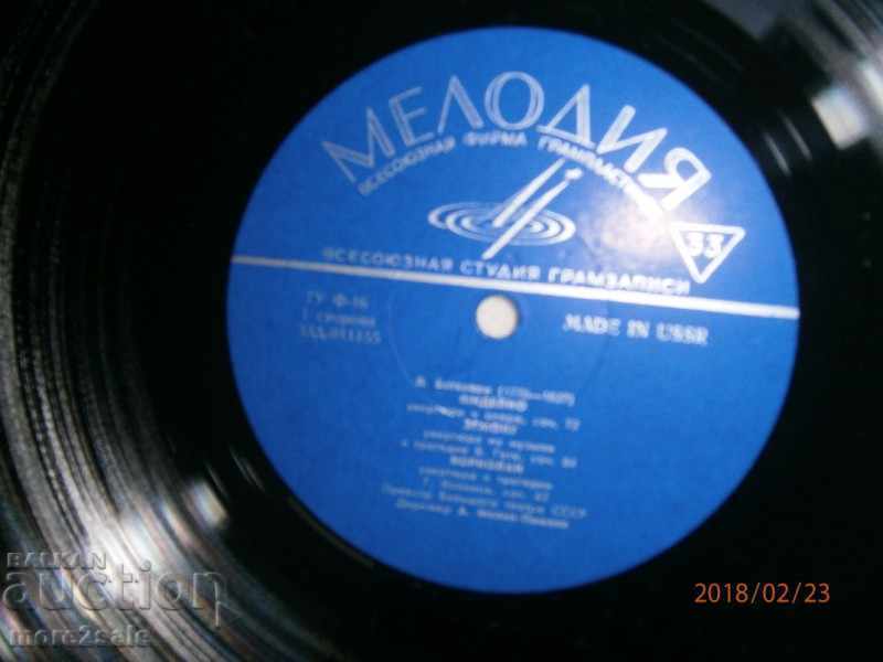 Delivery of HEAVY & SHUBERT - A SIZE FLOOR - MELODY