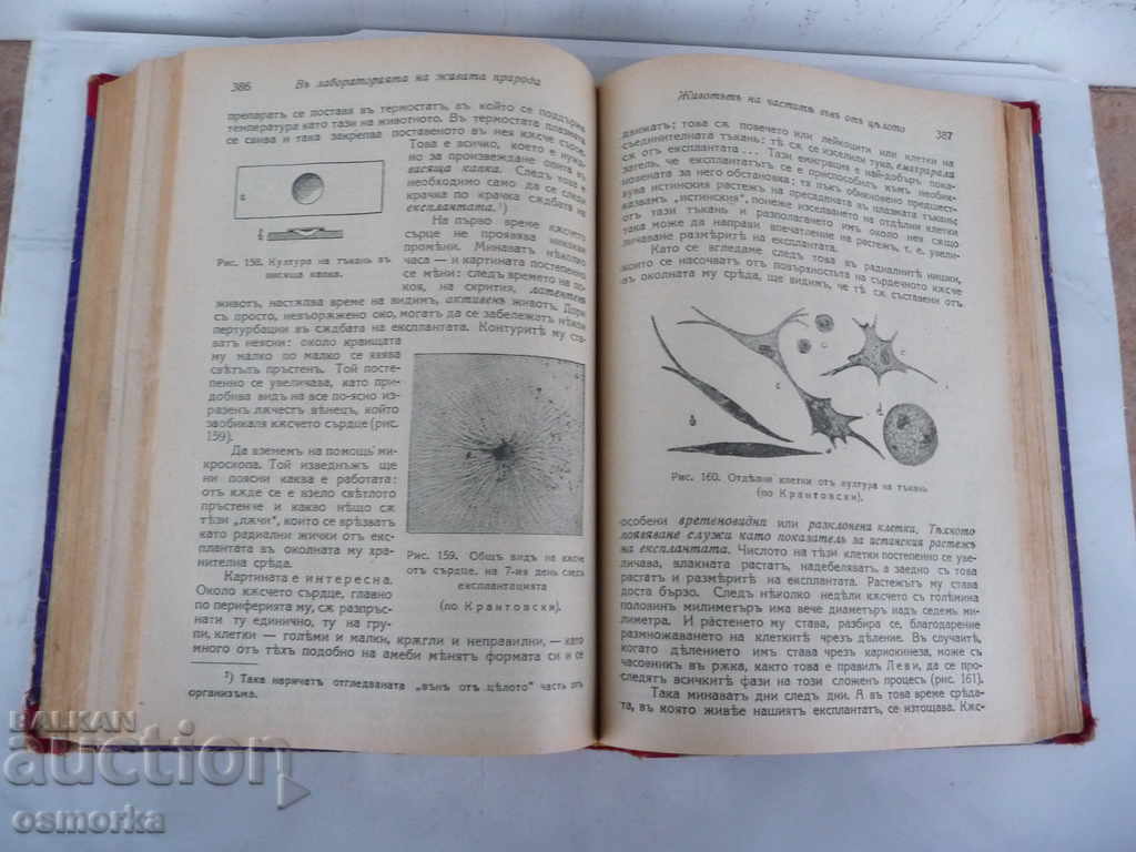 Auction The Basics of Life Popular Biology Tom 1 - VV Lunkevich Auction The Basics of Life Popular Biology Tom 1 - VV Lunkevich