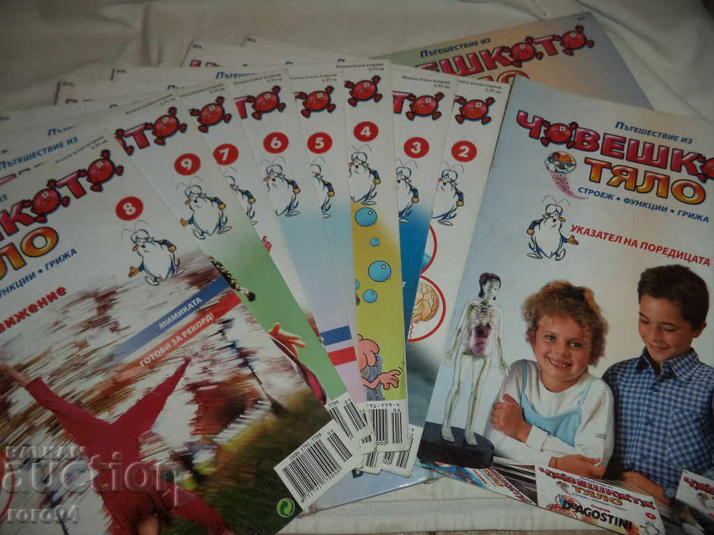 ΑΝΘΡΩΠΙΝΟ ΣΩΜΑ - 5 ΑΝΘΡΩΠΙΝΟ ΣΩΜΑ - 5