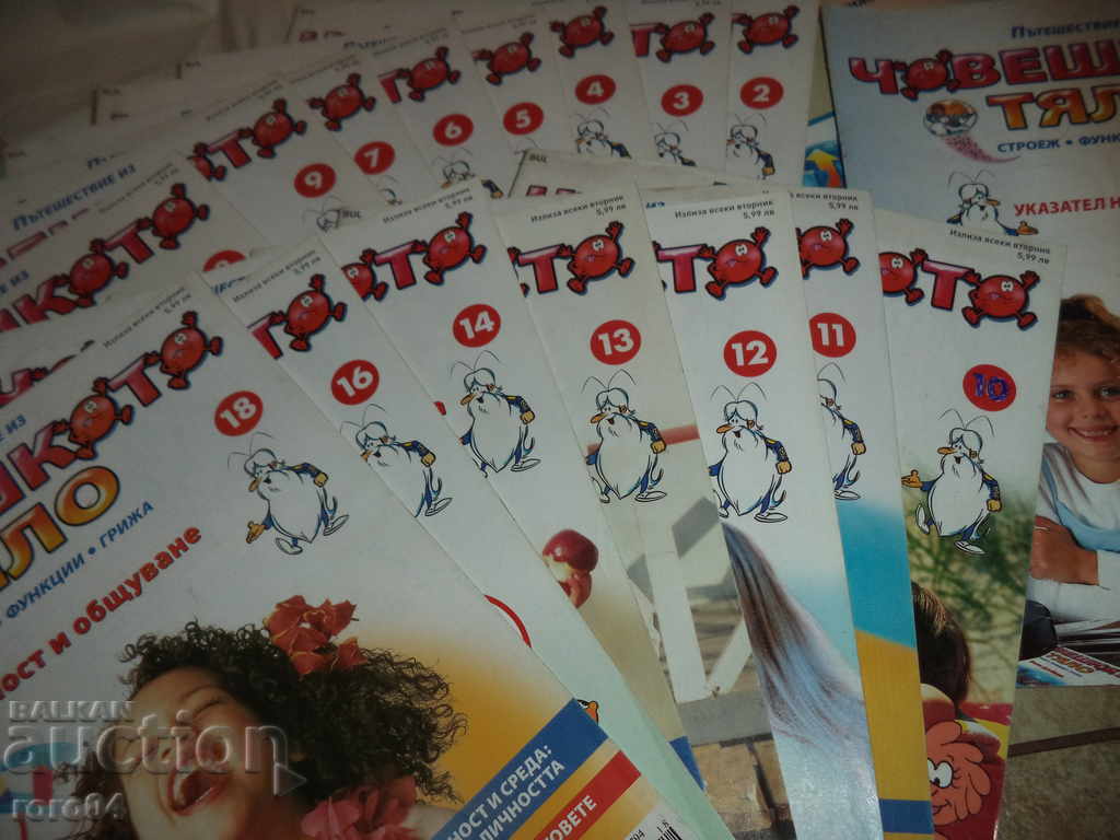 ΑΝΘΡΩΠΙΝΟ ΣΩΜΑ - 6 ΑΝΘΡΩΠΙΝΟ ΣΩΜΑ - 6