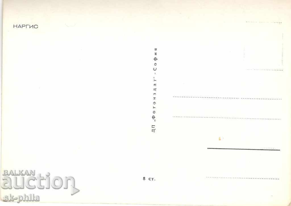 Old postcard - artists - Nargis with price 0.90 BGN | € 0.46 Old postcard - artists - Nargis with price 0.90 BGN | € 0.46