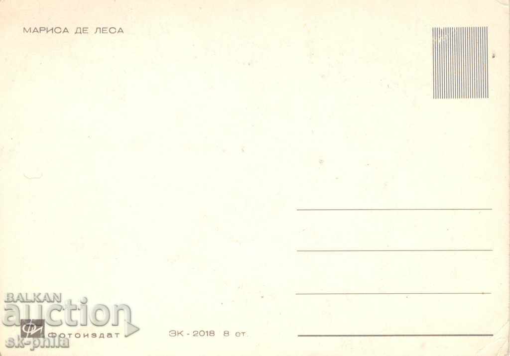 Old postcard - artists - Marissa de Lesa with price 0.90 BGN | € 0.46 Old postcard - artists - Marissa de Lesa with price 0.90 BGN | € 0.46