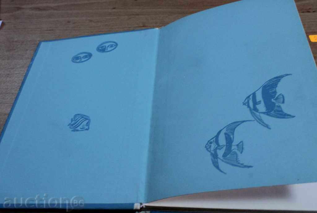 THE WORLD OF TORT - 7 THE WORLD OF TORT - 7