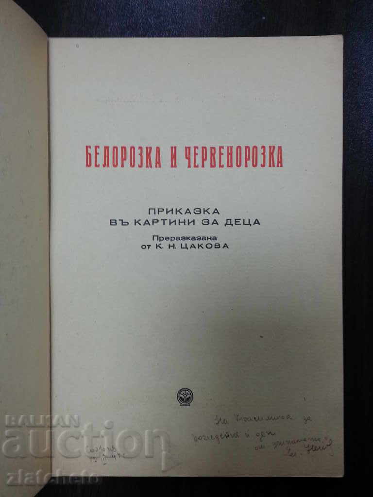 Licitație Whitewhite și ochi roșii Licitație Whitewhite și ochi roșii