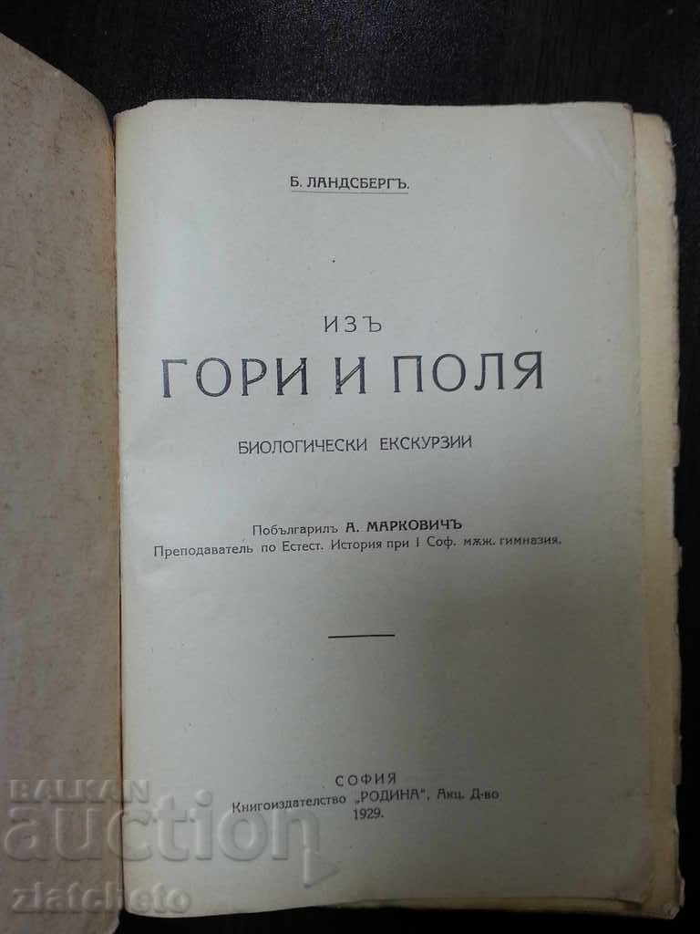 Auction From the forests and the Landesberg 1929 Auction From the forests and the Landesberg 1929