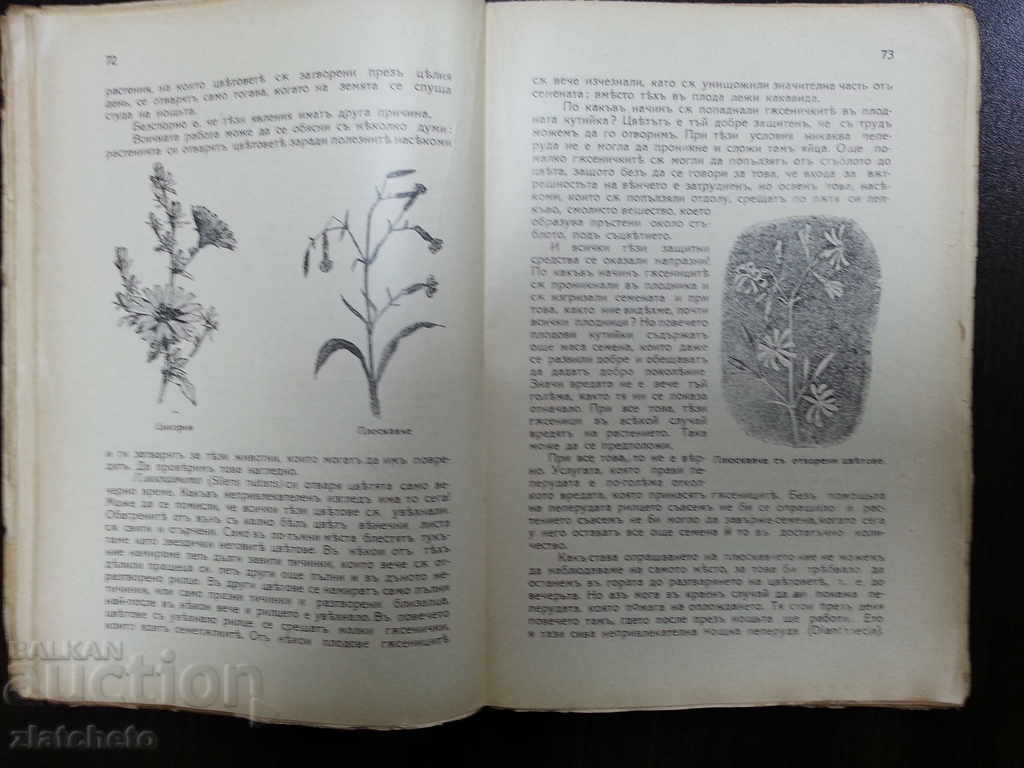 Delivery of From the forests and the Landesberg 1929 Delivery of From the forests and the Landesberg 1929