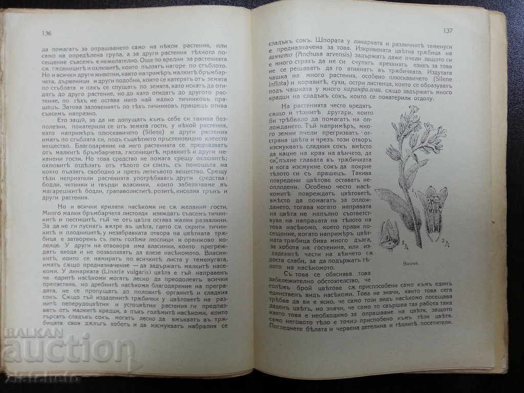 From the forests and the Landesberg 1929 - 5 From the forests and the Landesberg 1929 - 5