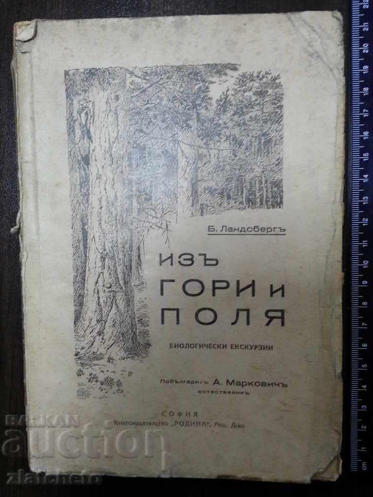 Από τα δάση και το Landesberg 1929
