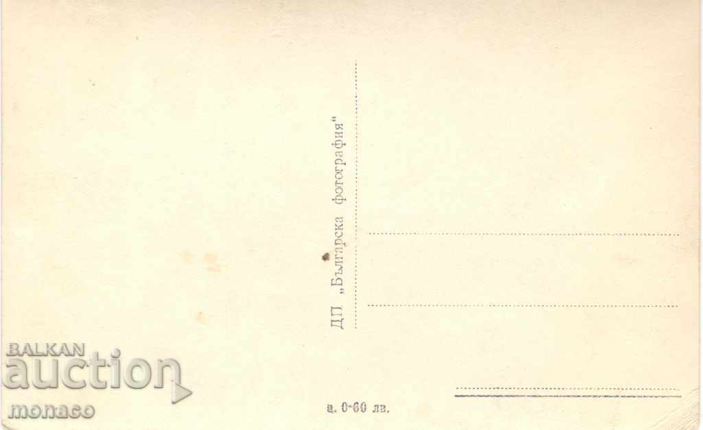 Old postcard - Rila, "Manchu" with price 1.80 BGN | € 0.92