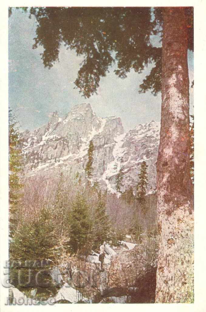 Стара картичка - Рила, Двуглавият връх