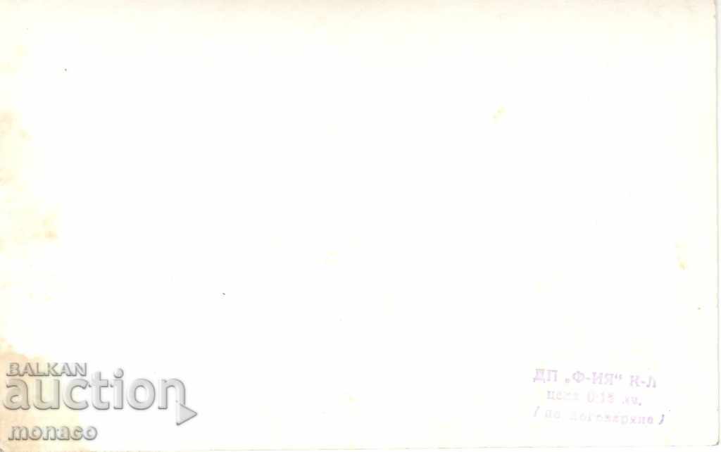 Old card - Dolna Banya, Holiday home with price 1.80 BGN | € 0.92 Old card - Dolna Banya, Holiday home with price 1.80 BGN | € 0.92