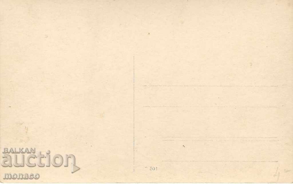 Old card - Hissar, Camels with price 3.50 BGN | € 1.79 Old card - Hissar, Camels with price 3.50 BGN | € 1.79