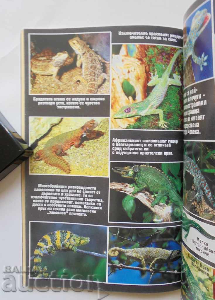 Delivery of Everything about the domestic terrarium - Atanas Stamenov 1999 Delivery of Everything about the domestic terrarium - Atanas Stamenov 1999