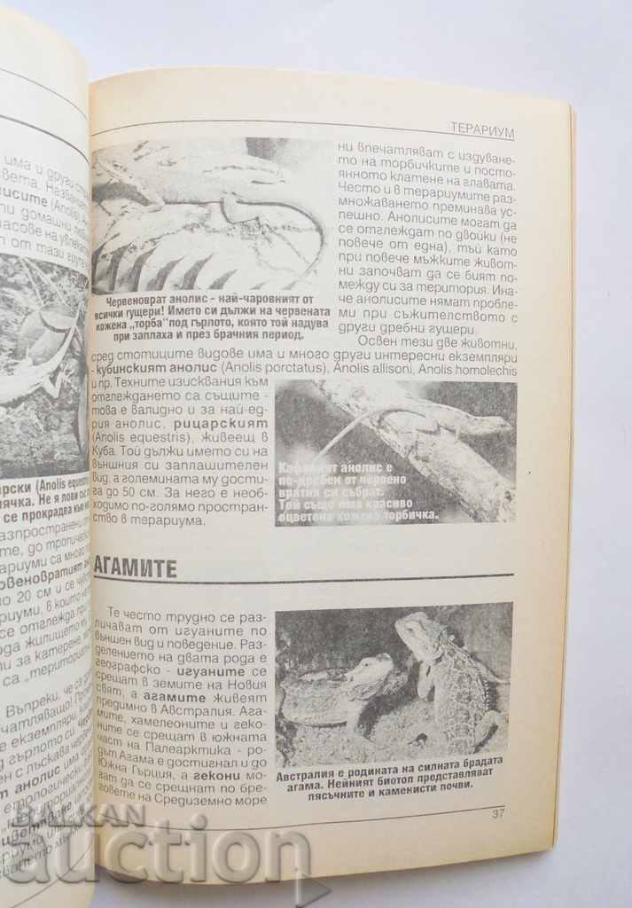 Everything about the domestic terrarium - Atanas Stamenov 1999 - 5 Everything about the domestic terrarium - Atanas Stamenov 1999 - 5