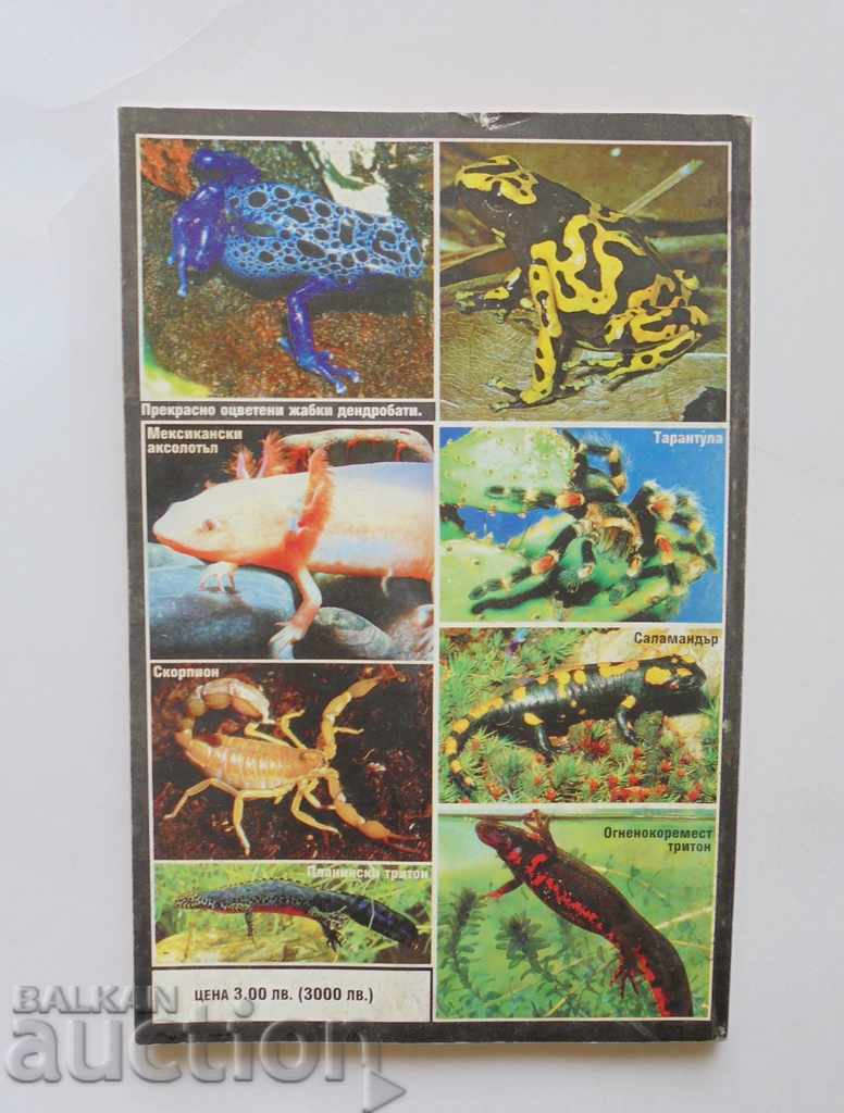 Everything about the domestic terrarium - Atanas Stamenov 1999 - 6 Everything about the domestic terrarium - Atanas Stamenov 1999 - 6