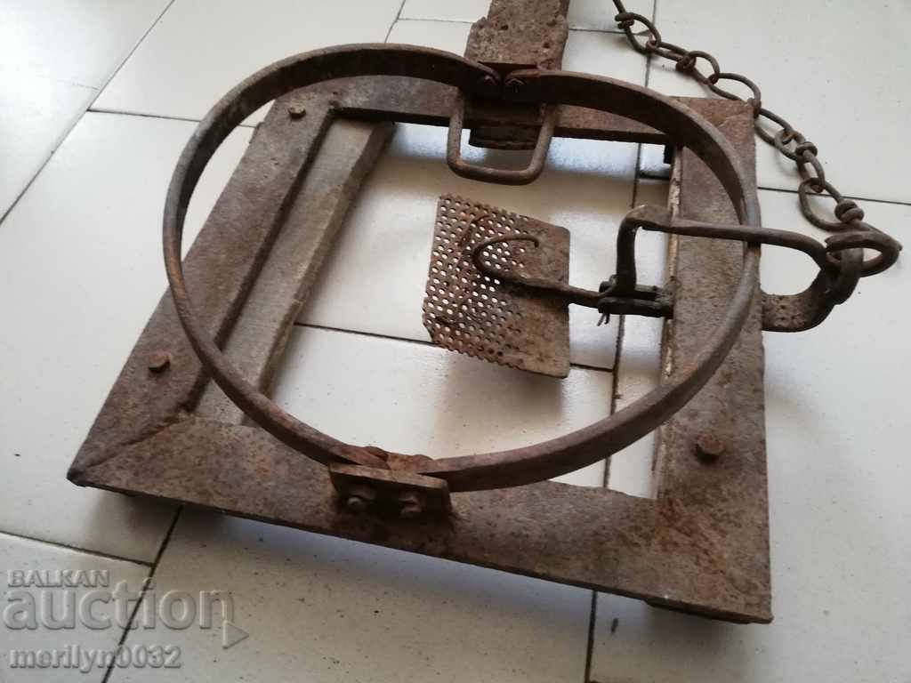 Old forged wolf trap, wrought iron primitive - 6 Old forged wolf trap, wrought iron primitive - 6