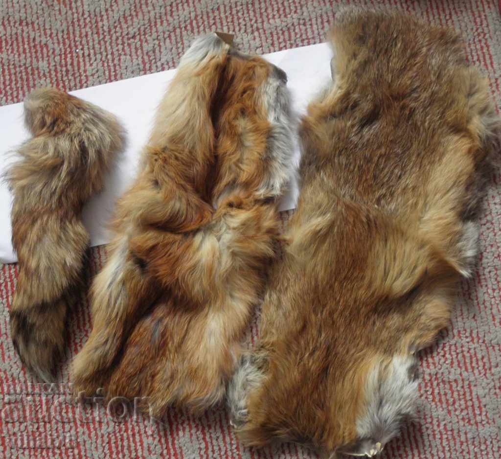 Auction LEADERS AND SKIN SKIRTS Auction LEADERS AND SKIN SKIRTS