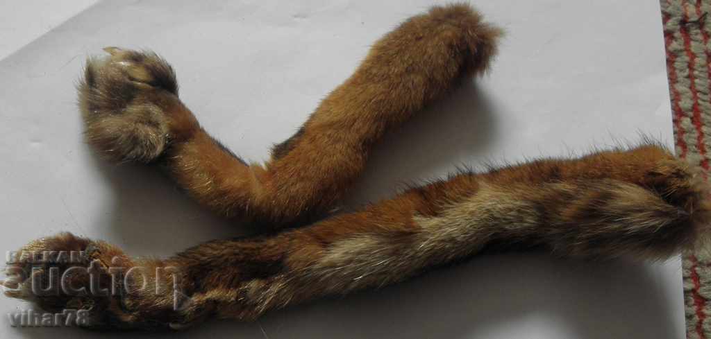 LEADERS AND SKIN SKIRTS - 5 LEADERS AND SKIN SKIRTS - 5