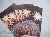 Πολλές καρτ ποστάλ