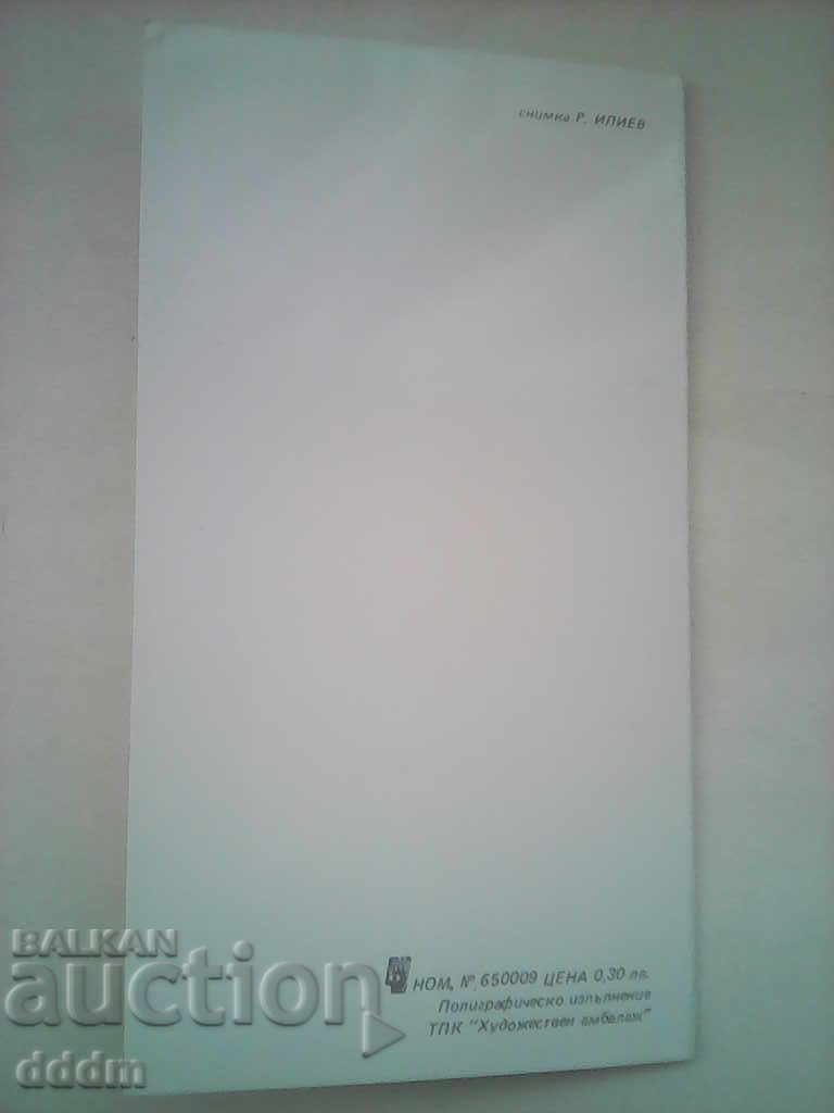 Auction Pose. card Auction Pose. card