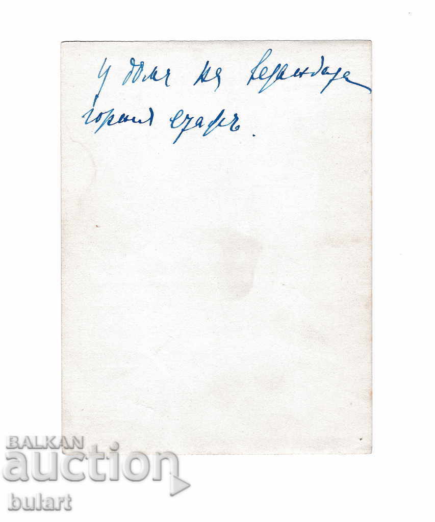 Φωτογραφία Γυναίκα στη βεράντα Ταξιδεύοντας στο Βασίλειο της Βουλγαρίας με τιμή 20.00 BGN | € 10.23 Φωτογραφία Γυναίκα στη βεράντα Ταξιδεύοντας στο Βασίλειο της Βουλγαρίας με τιμή 20.00 BGN | € 10.23