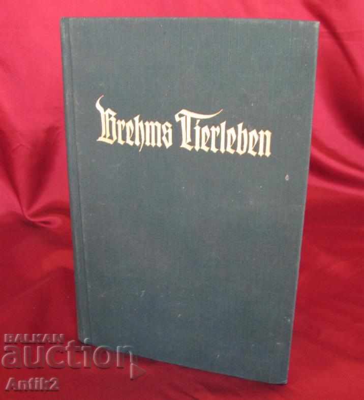 1927год. Германия Книга Енциклопедия Риби и Земноводни