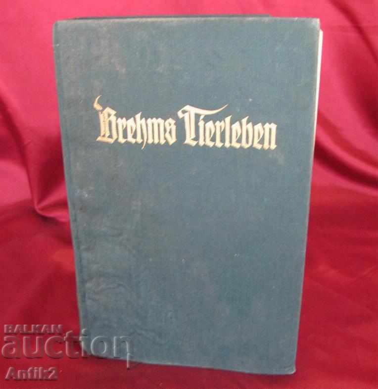 1927god. Germania Enciclopedia de carte pentru animale