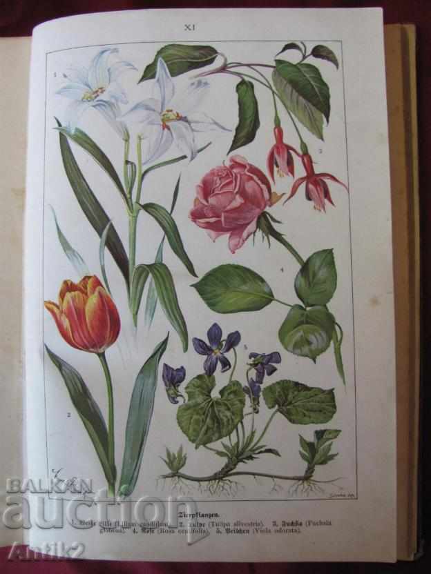 1900η Γερμανία εγκυκλοπαίδεια - 5 1900η Γερμανία εγκυκλοπαίδεια - 5