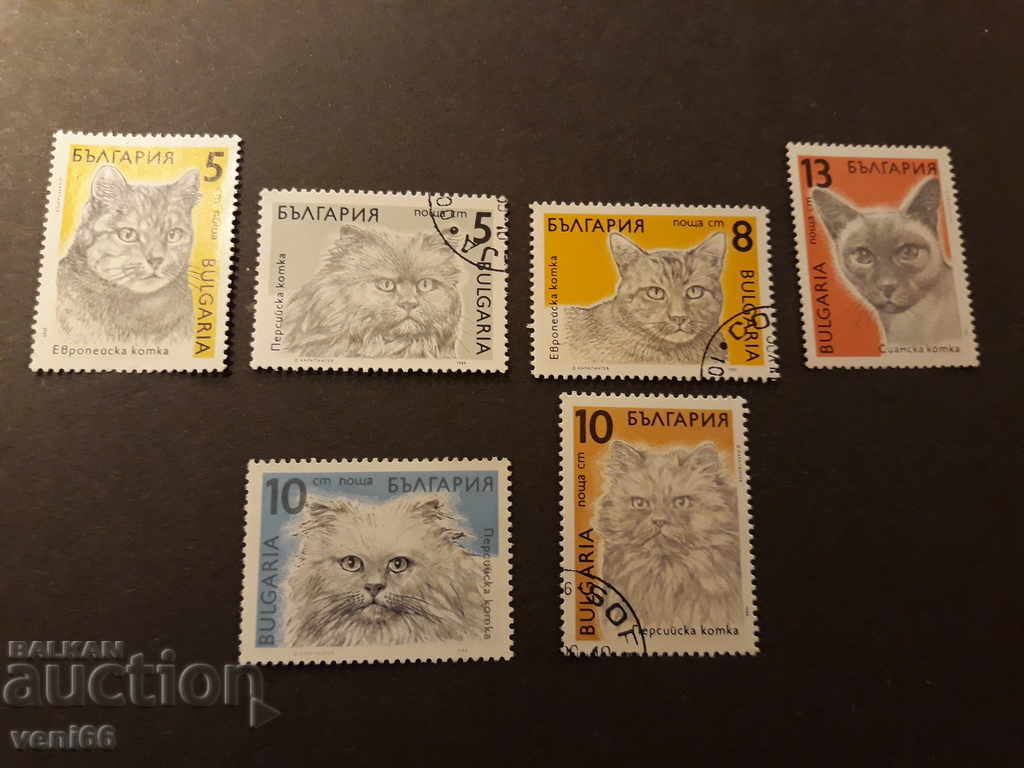 Poștale Timbre Pisici Bulgaria