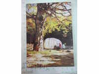 Καρτ ποστάλ-Εθνικό Μουσείο-Σχίκα-Μπουζλουτζιά * Buzl.Kongres-1891 *