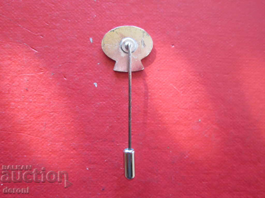 Auction Helmet badge DLRG 2006 Auction Helmet badge DLRG 2006