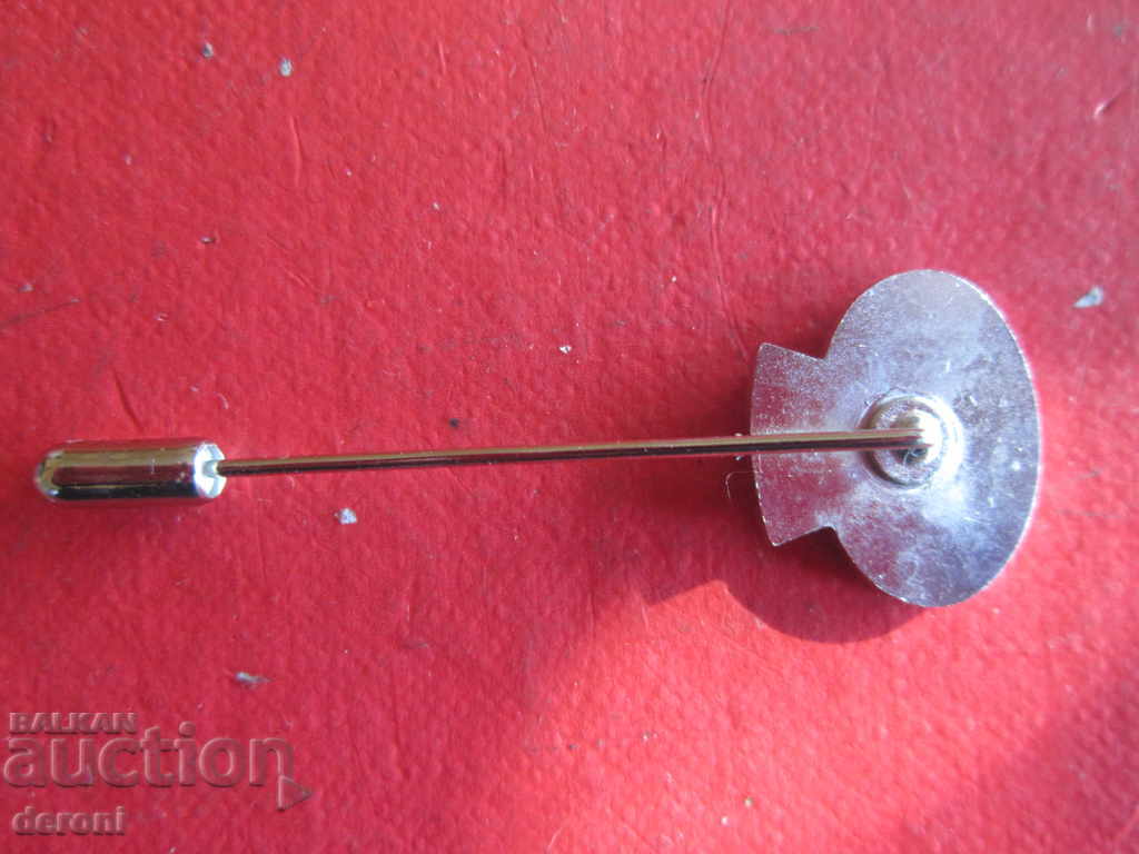 Delivery of Helmet badge DLRG 2007