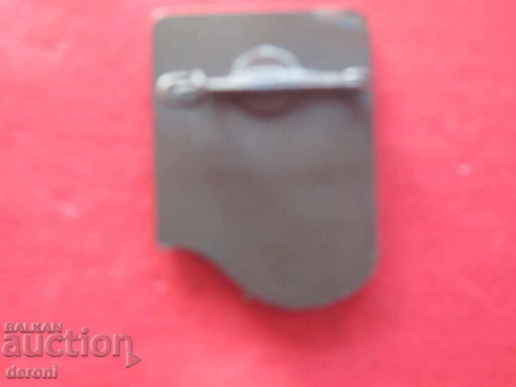 Auction  Embroidered German badge badge Soll Gast