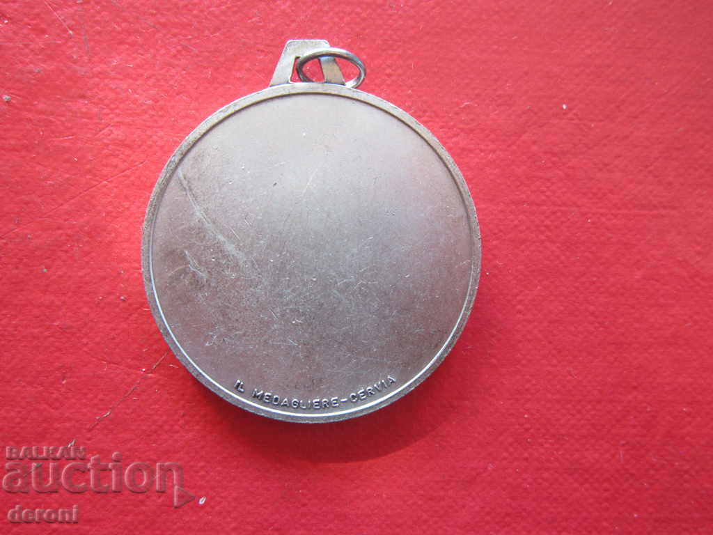 Доставка на Рядък трофеен медал нагръден знак значка Доставка на Рядък трофеен медал нагръден знак значка