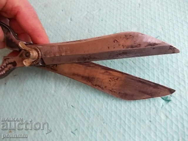 Auction McCloud cutter Auction McCloud cutter