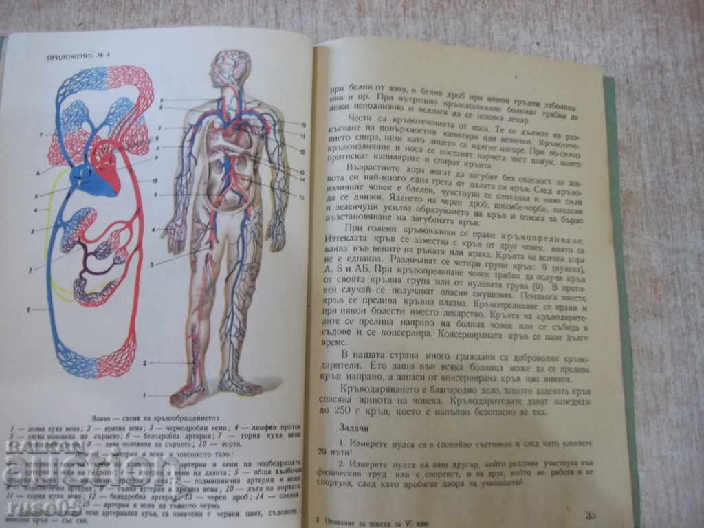 Book "Knowledge of Man - R. Kosev / S.Vilarova" - 84 pp. - 5 Book "Knowledge of Man - R. Kosev / S.Vilarova" - 84 pp. - 5