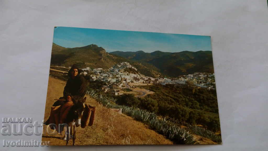 Пощенска картичка Moulay Idriss Panorama