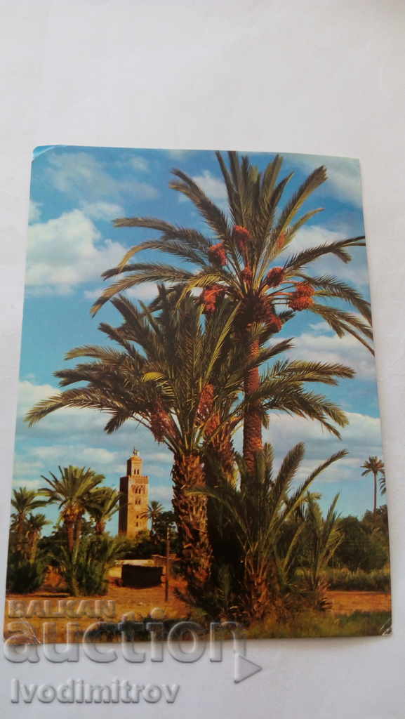 Carte poștală Marrakech Vue sur la Koutoubia 1982